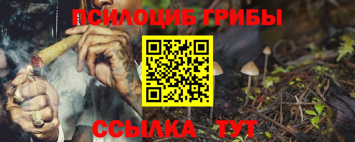 Псилоцибиновые грибы GOLDEN TEACHER  Вход с VPN  Гатчина 